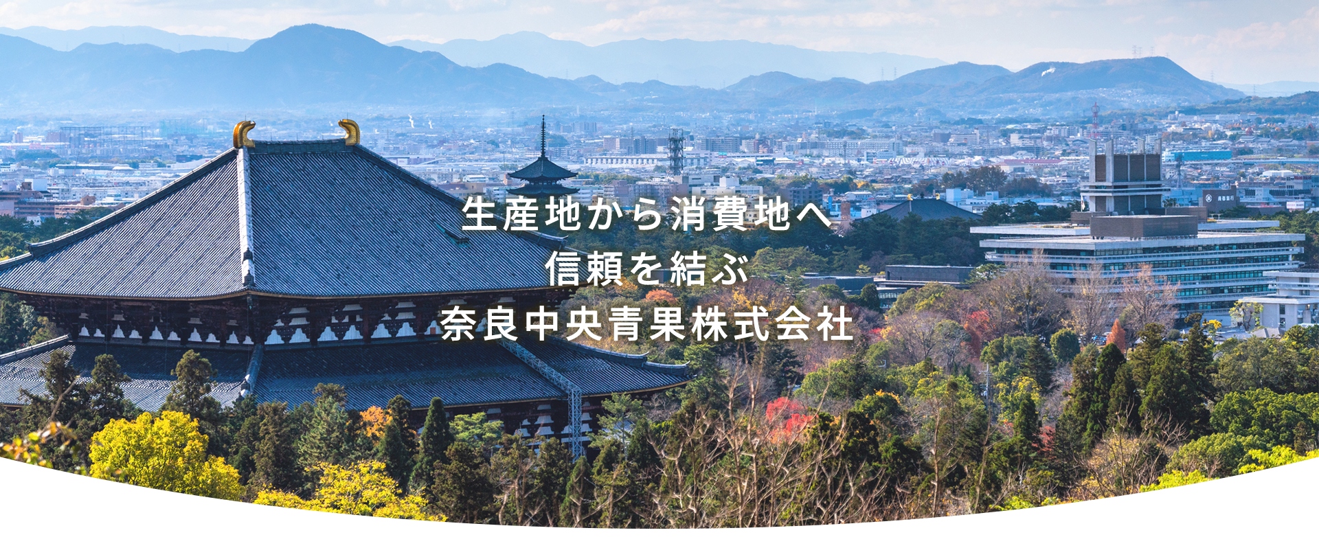 生産地から消費地へ　信頼を結ぶ　奈良中央青果株式会社