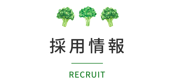 採用情報