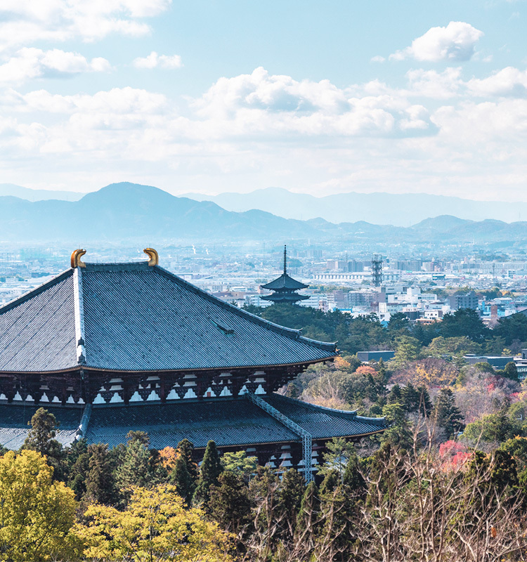 地域に根ざし、信頼を積み重ねてきた実績