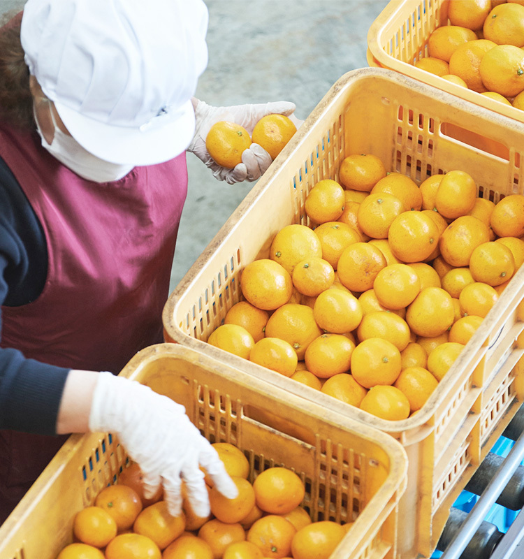 産地と市場をつなぐ、確かな目利き力
