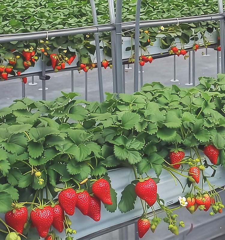 安全・安心を支える、徹底した品質管理