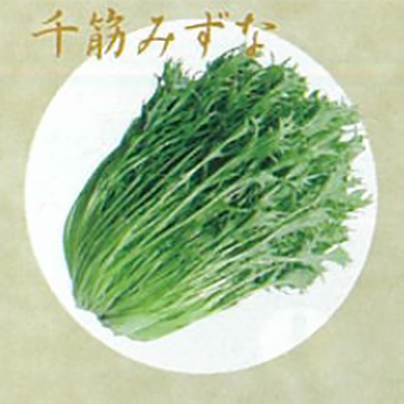 大和の伝統野菜