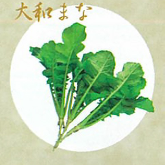 大和の伝統野菜
