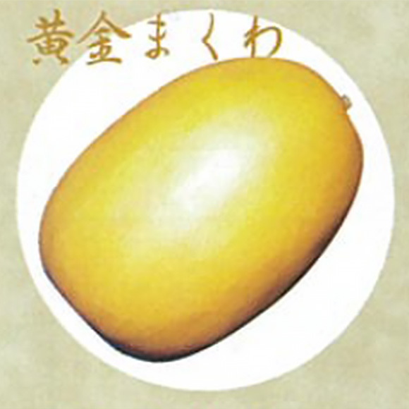 大和の伝統野菜