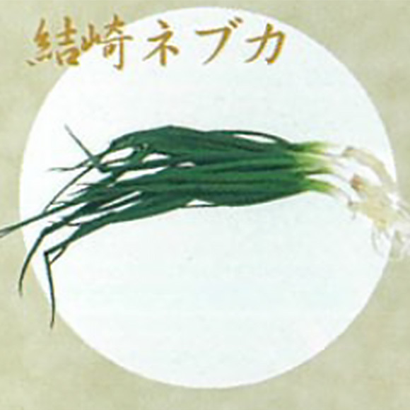 大和の伝統野菜