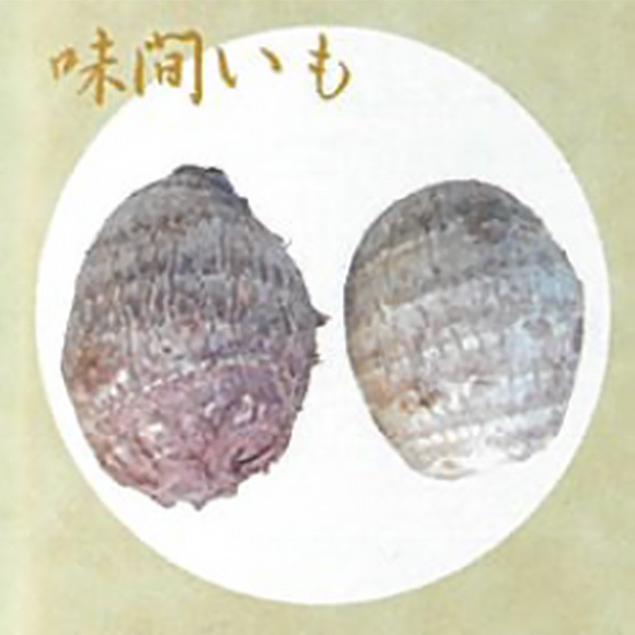 大和の伝統野菜