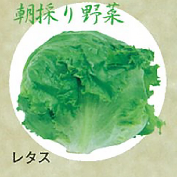 こだわり野菜