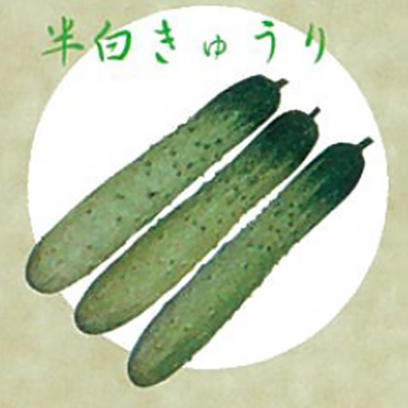 こだわり野菜
