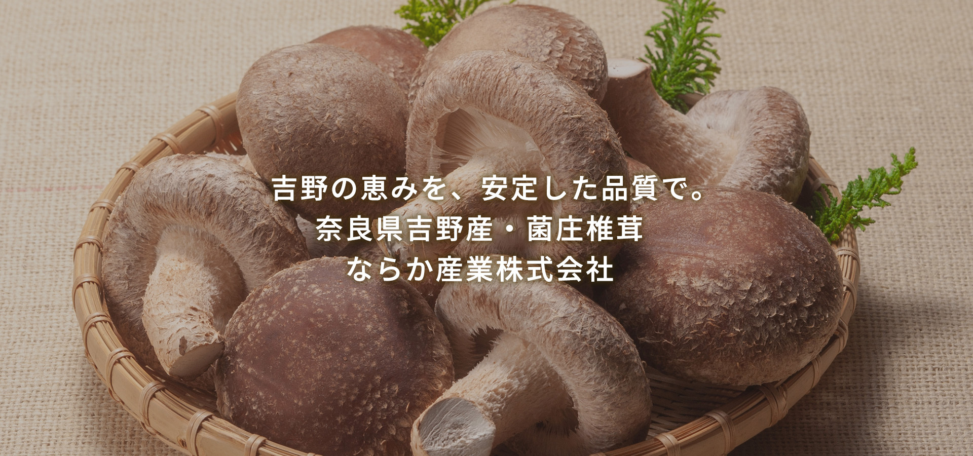 吉野の恵みを、安定した品質で。  奈良県吉野産・菌庄椎茸  ならか産業株式会社